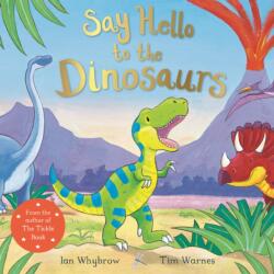 Say Hello to the Dinosaurs (ISBN: 9781509885541)
