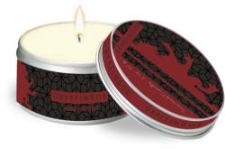 Harry Potter Gryffindor Scented Tin Candle - Insight Editions (ISBN: 9781682983812)