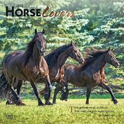 HORSE LOVERS 2022 SQUARE FOIL (ISBN: 9781975438807)