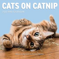 Cats on Catnip Mini Wall Calendar 2022 (ISBN: 9781523513390)