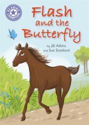 Reading Champion: Flash and the Butterfly (ISBN: 9781445162232)