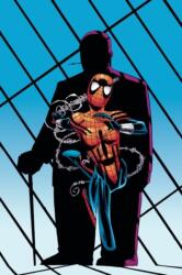 Spider-girl: The Complete Collection Vol. 3 (ISBN: 9781302923716)