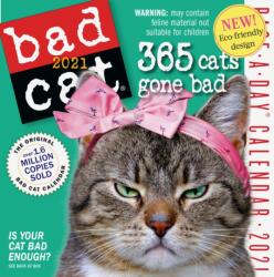 Bad Cat Page-A-Day Calendar 2021 (ISBN: 9781523508334)