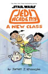Jedi Academy 4: A New Class (ISBN: 9781407181950)