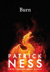 Burn (ISBN: 9781406393903)