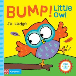 Bump! Little Owl (ISBN: 9781447250555)