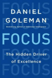 Focus - The Hidden Driver of Excellence (2014)