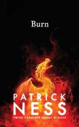 Burn (ISBN: 9781406375503)