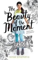 Beauty of the Moment (ISBN: 9781250233837)