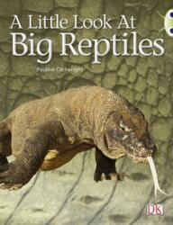 BC NF Blue (KS1) B/1B O scurtă privire asupra reptilelor mari (ISBN: 9780433004387)