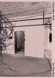 Christopher Wool: See Stop Run (ISBN: 9783947127559)