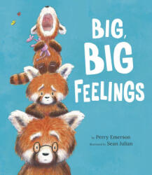 Big, Big Feelings - Sean Julian (ISBN: 9781664300347)