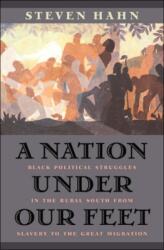 A Nation under Our Feet (ISBN: 9780674017658)