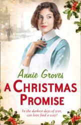 A Christmas Promise (ISBN: 9780007361557)