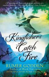 Kingfishers Catch Fire (ISBN: 9781844088423)