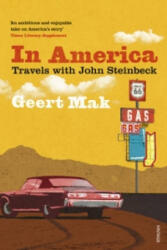 In America - Geert Mak, Liz Waters (ISBN: 9780099578734)