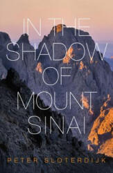 In The Shadow of Mount Sinai - Peter Sloterdijk (ISBN: 9780745699240)