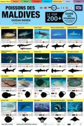Maldives Guide Des Poissons (ISBN: 9781876410100)