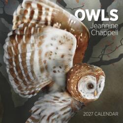 Owls: Jeannine Chappell 2027 Wall Calendar (ISBN: 9781087514796)