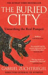 Buried City (ISBN: 9781399731195)