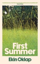 First Summer (ISBN: 9781398551596)