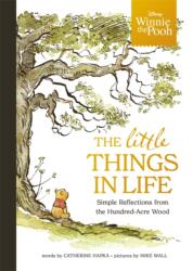 Winnie the Pooh - The Little Things in Life - Walt Disney (ISBN: 9781800787629)