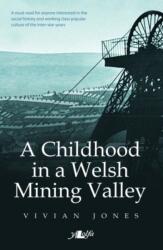 A Childhood in a Welsh Mining Valley (ISBN: 9781784613754)