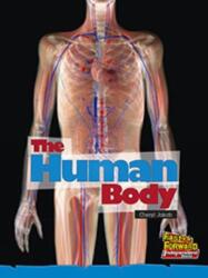The Human Body (ISBN: 9780170179348)