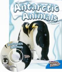 Antarctic Animals (ISBN: 9780170125321)