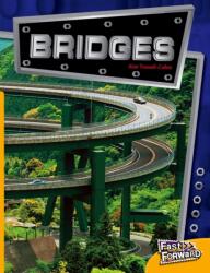 Bridges (ISBN: 9780170125062)