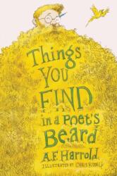 Things You Find in a Poet's Beard (ISBN: 9781909136618)