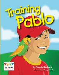Engage Literacy White Pack A (ISBN: 9781406264456)