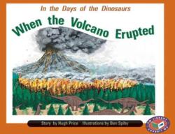 When the Volcano Erupted (ISBN: 9781869611194)