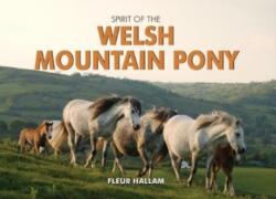 Spirit of the Welsh Mountain Pony (ISBN: 9780857100290)
