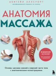 Анатомия массажа. Основы массажа нижней и верхней части тела с анатомическими иллюстрациями - Абигейл Эллсуорт (ISBN: 9785042261572)