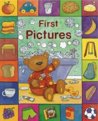 Sparkly Learning: First Pictures (ISBN: 9781843227748)