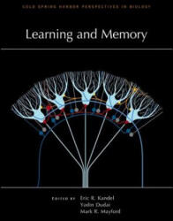 Learning and Memory - Eric R. Kandel MD, Yadin Dudai Phd, Mark R. Mayford Phd (ISBN: 9781621821601)