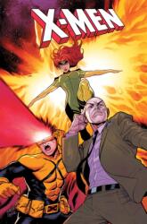 X-Men: From the Ashes - Diogenes Neves, Phillip Sevy (ISBN: 9781302967314)