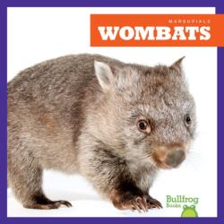 Wombats (ISBN: 9798892135313)