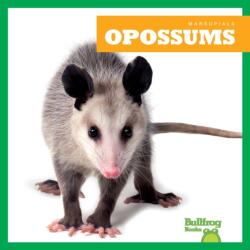 Opossums (ISBN: 9798892135221)