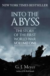 Into The Abyss (ISBN: 9781445680019)