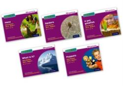 Read Write Inc. Phonics: Purple Set 2 Non-fiction books (ISBN: 9780198373476)