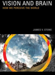 Vision and Brain - Stone (ISBN: 9780262517737)