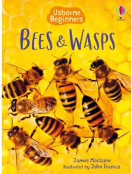 Bees and Wasps - James Maclaine (ISBN: 9781409544876)
