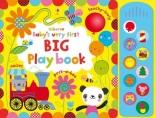 Baby's Very First Big Playbook - Fiona Watt (ISBN: 9781409565109)