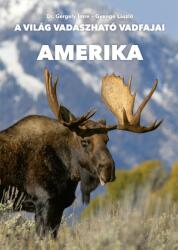 Amerika (ISBN: 9789639027534)