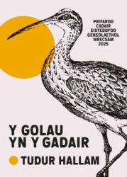 Y Golau yn y Gadair (ISBN: 9781918015041)