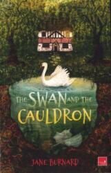 The Swan and the Cauldron (ISBN: 9781845248185)