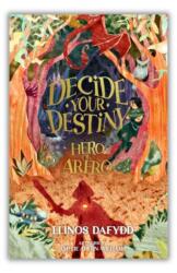 Decide your Destiny - Hero of Arfro (ISBN: 9781804165010)