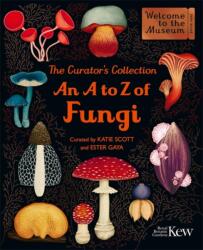The Curator's Collection: An A to Z of Fungi (ISBN: 9781835874745)